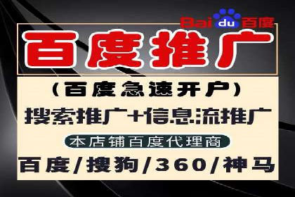 百度推广实战案例：如何精准投放广告